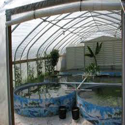 Fish Farming