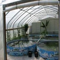 Fish Farming Tank