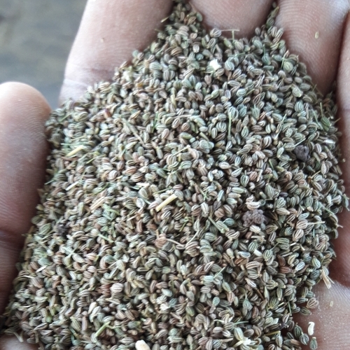 Fresh Ajwain Seeds