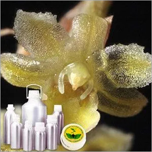 Galbanum Oil By INDIA AROMA OILS AND COMPANY