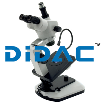 Stereo Microscope KSW8000