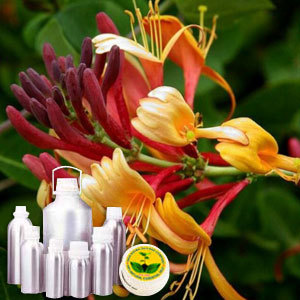 Honeysuckle Oil By INDIA AROMA OILS AND COMPANY