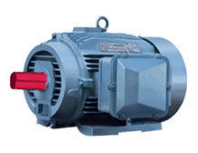 Blue Drive Duty Motor (Vd - Series)