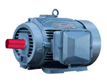 Drive Duty Motor (VD - Series)