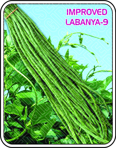 Imported Labanya - 9 Purity: 98%