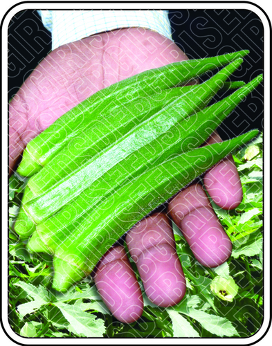Safal Seeds