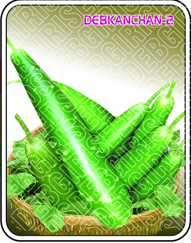 Bottle Gourd Seeds