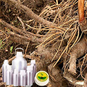 Lovage Root Oil