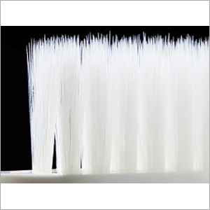 Polybutylene Terephthalate Bristles