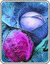 PARNI (Red Cabbage)