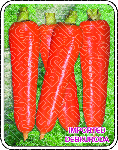 Imported Debkuroda Purity: 100%