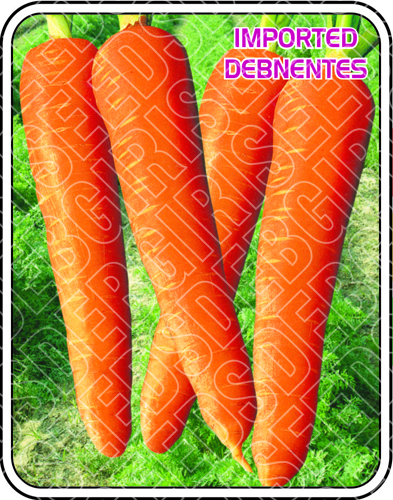 IMPORTED DEBNENTES
