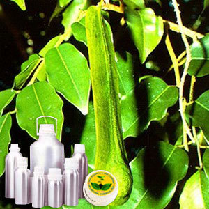 Peru Balsam Oil By INDIA AROMA OILS AND COMPANY