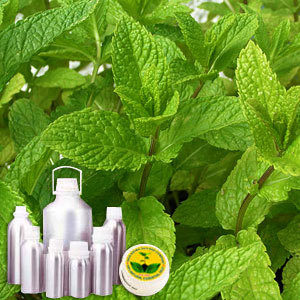 Spearmint Oil By INDIA AROMA OILS AND COMPANY