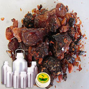 Styrax Tonkinesis Oil (Loban)