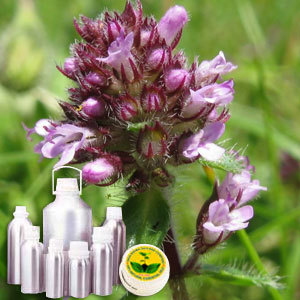 Thyme Oil By INDIA AROMA OILS AND COMPANY