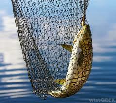 Black Pe Fishing Net