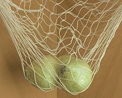 Gray Fruits Net