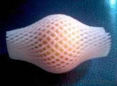 White Epe Fruit Net