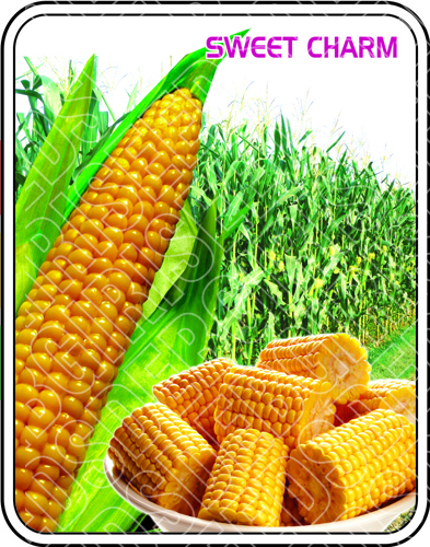 Sweet Corn