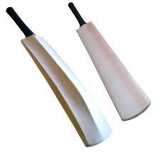 Rectangle Kashmir Willow Cricket Bat