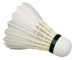 Shuttle Cock - Premium Raw Feathers, Black & White Colors | Dustproof, Waterproof, Dimensional Accuracy, Aerodynamic Stability