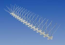 Bird Spik - Flexible Unbreakable Transparent Spikes , Weather Resistant, Dustproof, Waterproof for Efficient Bird Control and Building Protection