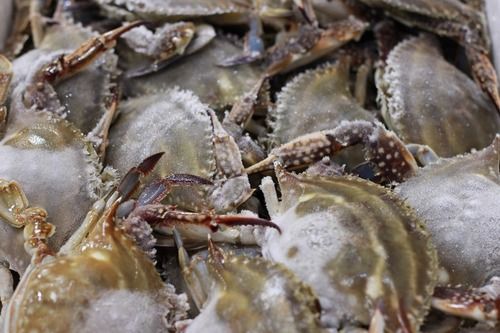 Live and frozen crab