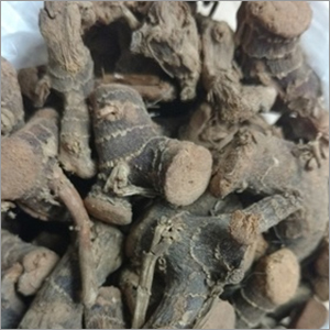 Lesser Galangal Root