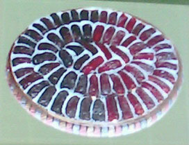 Dates Packing Trays