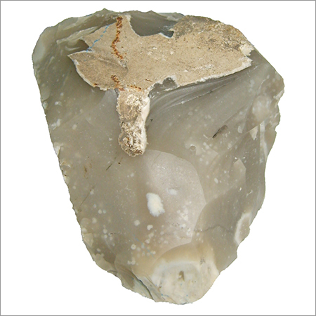 Miorcani Flint