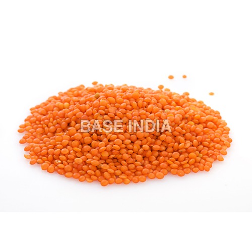 Red Lentils