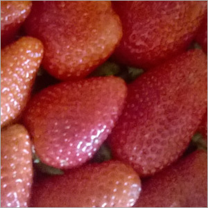 Red Strawberry