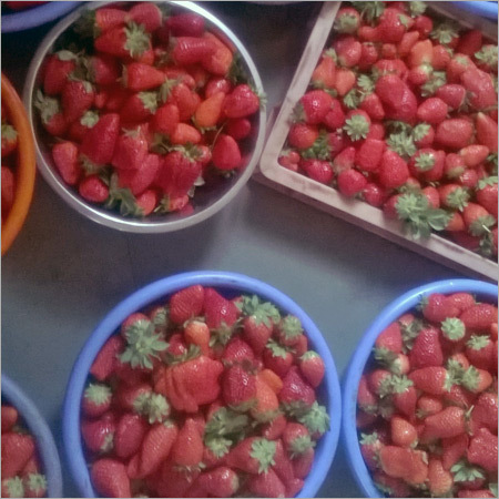 Strawberry Fruit