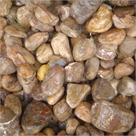 Bidasar Brown Bidasar Brown