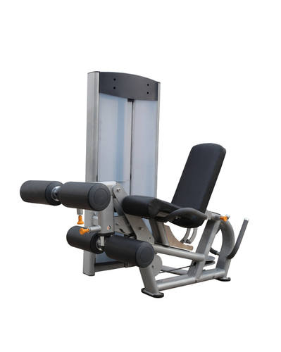 Leg Extension / Leg Curl