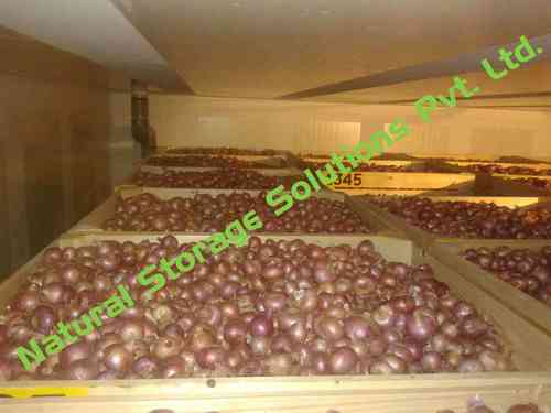 Onion Cold Storage