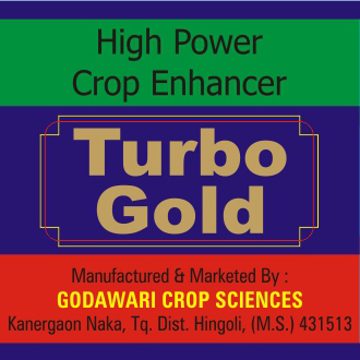 Turbo Gold