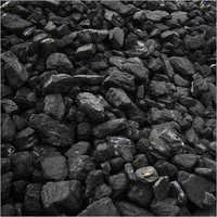 Cooking Coal
