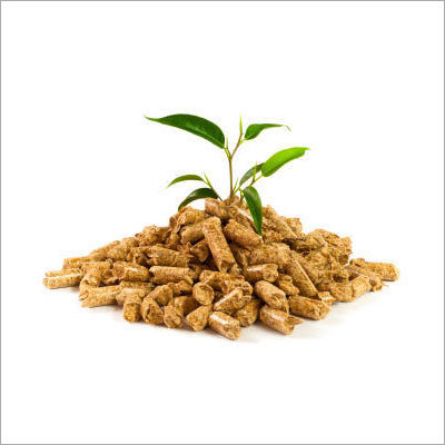 Biomass Wood Pellet