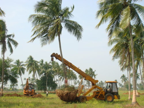 Tree Transplantation