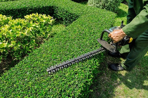 Landscape Maintenance