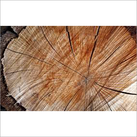 Wooden Timber Logs