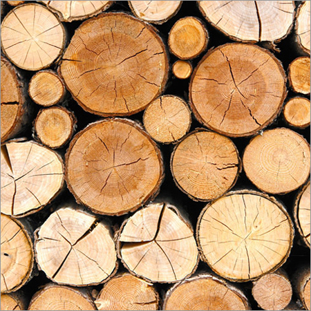 Timber Logs