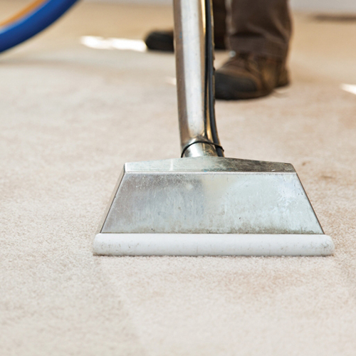 Carpet Cleaning
