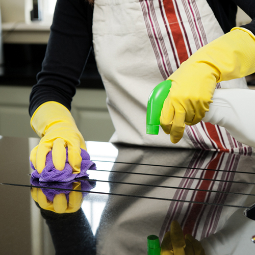 Kitchen Cleaning Services