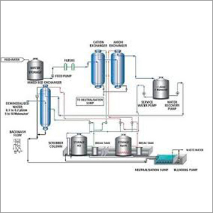 Dm Plant