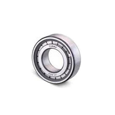 Pinion Pilot Bearing