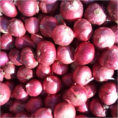 Fresh Onion