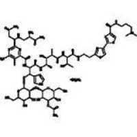 Bleomycin Sulfate - C55h85n17o25s4, 1512.6g | Purity 98%, Melting Point >170âºc, Administered Intravenously Or Intramuscularly